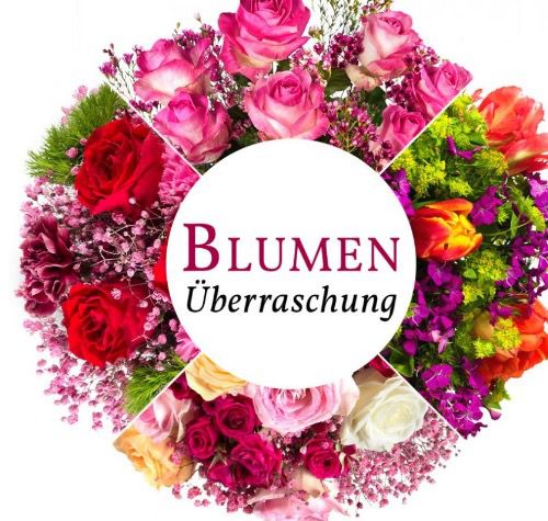 Bildschirmfoto 2016-05-12 um 13.01.12