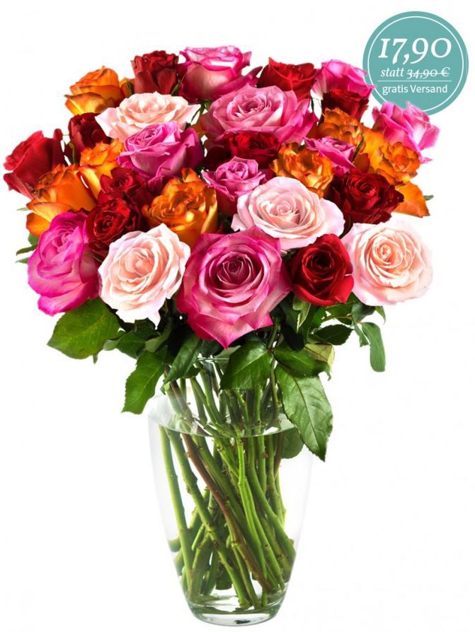 Milflora: 30 Rainbow Rosen kosten nur 17,90€ inkl. Verand Rosen Milflora: 30 Rainbow Rosen kosten nur 17,90€ inkl. Verand