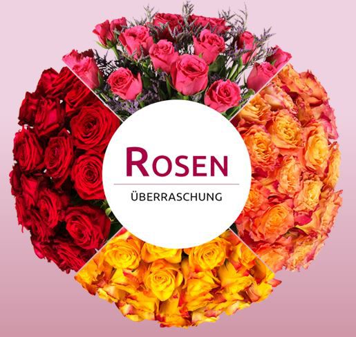 Miflora Rosenüberraschung: 20-25 Rosen für 17,90€ Miflora Rosenüberraschung: 20 25 Rosen für 17,90€