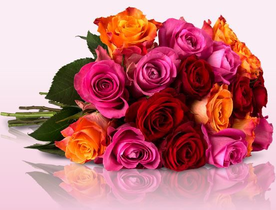 Neue Rosen Rally mit bis zu 30 Shiny Roses für 18,90€ Neue Rosen Rally mit bis zu 30 Shiny Roses für 18,90€