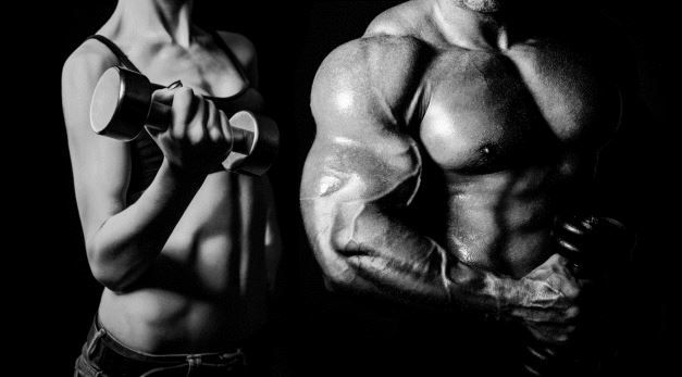 Whey Protein als Nahrungsergänzungsmittel - Das beste Whey 2015 im Vergleich Whey Protein als Nahrungsergänzungsmittel Das beste Whey 2015 im Vergleich