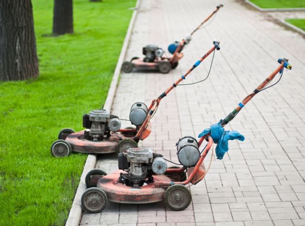 Ratgeber Rasenmäher-Roboter: Welchen Mähroboter sollte ich kaufen? Ratgeber Rasenmäher Roboter: Welchen Mähroboter sollte ich kaufen?