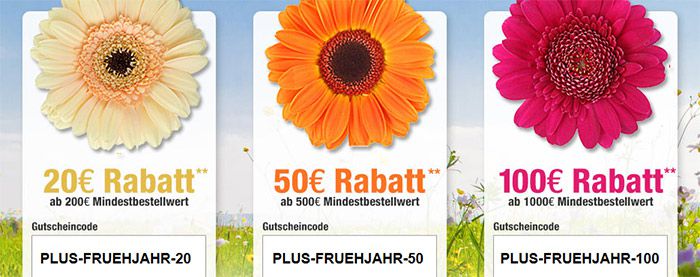 plus-gutschein