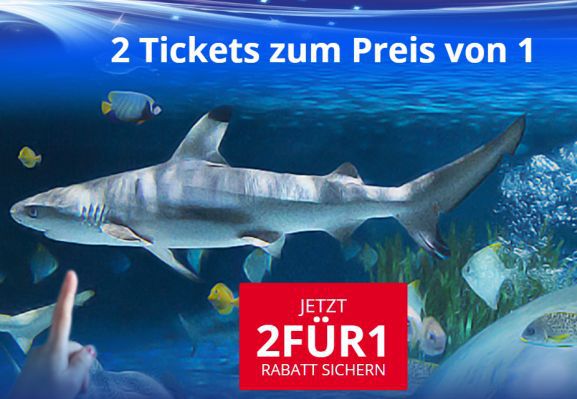 Merlin 2für1