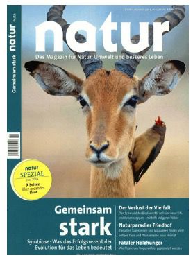 Bildschirmfoto 2016-06-29 um 11.14.57