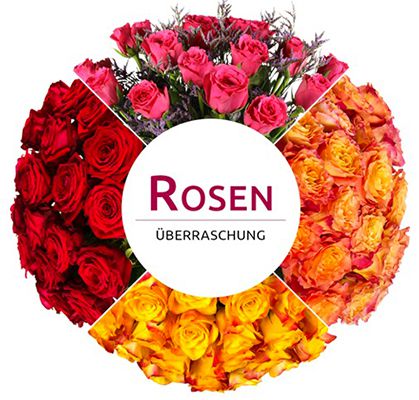 Rosen Ueberraschung