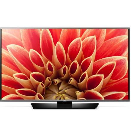 LG D ay