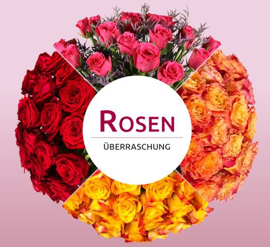 Miflora Überraschungs Rosen Blumenstrauß für 14,90€ Rosenüberraschung Miflora Überraschungs Rosen Blumenstrauß für 14,90€