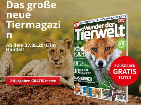 Wunder der Tierwelt
