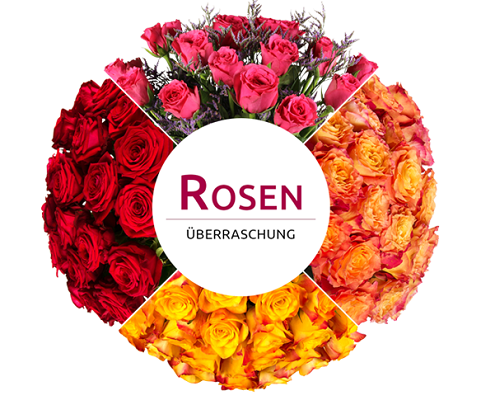 Miflora Überraschungs Rosen Blumenstrauß für 16,90€ Miflora Überraschungs Rosen Blumenstrauß für 16,90€