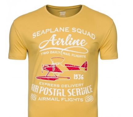 airline