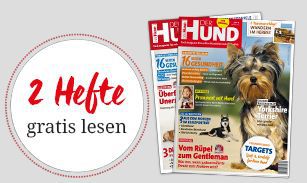 Hund 2