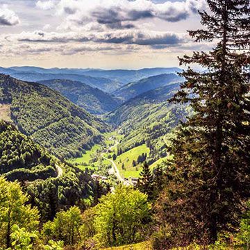 schwarzwald-thumb