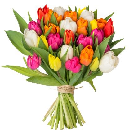 44 bunte Tulpen für 24,98€ inkl. Zustellung