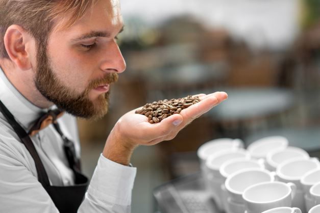 Bester Kaffee Crema – 1000 g Röstkaffee unter 15 Euro Bester Kaffee Crema – 1000 g Röstkaffee unter 15 Euro