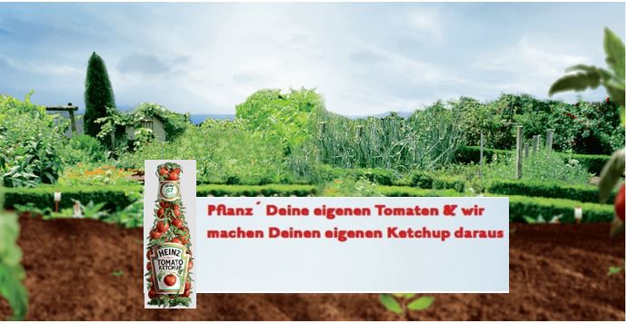 HEINZ Tomatensamen kostenlos