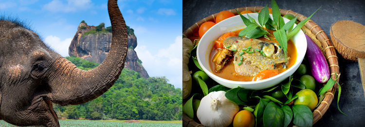 14   15 ÜN Rundreise durch Sri Lanka inkl. Flug, Hotels & mind. Frühstück ab 1.279€ p.P.