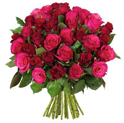 Rosenstrauß Lovely mit 41 Rosen für 23,94€ inkl. Versand