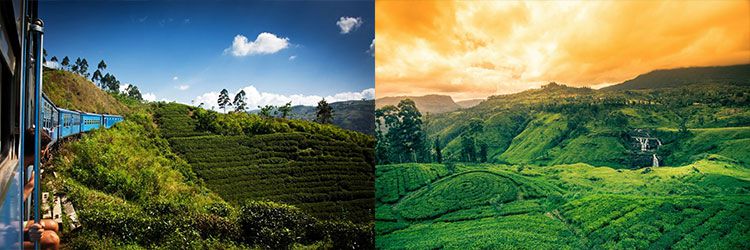 14   15 ÜN Rundreise durch Sri Lanka inkl. Flug, Hotels & mind. Frühstück ab 1.279€ p.P.