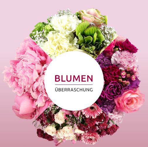 Miflora Blumenüberraschung für 22,90€