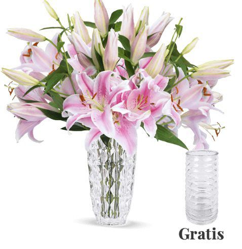 15 langstielige pinke Lilien + Vase für 22,98€