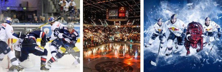 Eishockey Tickets für Düsseldorf EG, EHC Red Bull München oder Eisbären Berlin bei Vente Privee