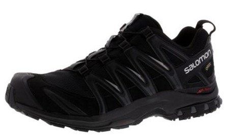 Salomon XA Pro 3D GTX Herren Trekkingschuhe ab 79,95€