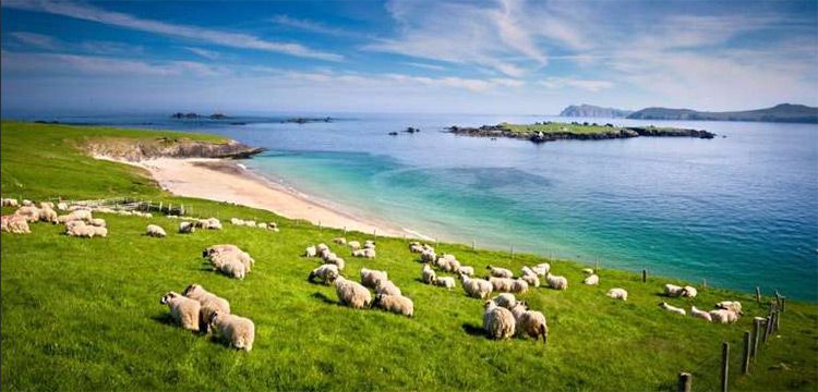 8 Tage Irland Rundreise inkl. Frühstück, Flug & allen Transfers ab 499€ p.P.