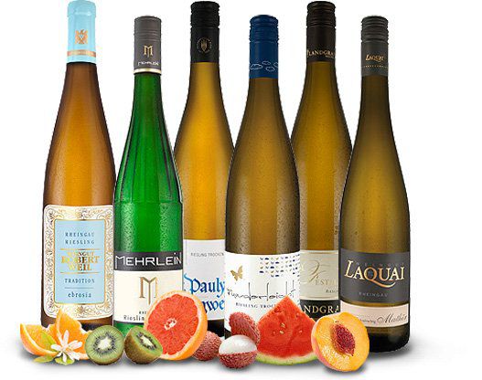 6 Flaschen Premium Riesling Wein im Probierpaket für 44€