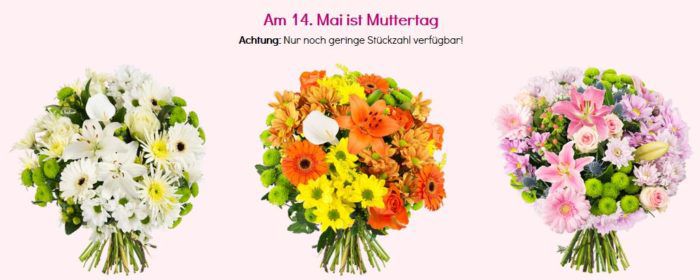 Blumen zum Muttertag ab 20,94€   z.B. 23 rote Rosen mit 50cm Länge