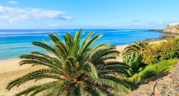 7 o. 14 ÜN im 3,5* Hotel auf Fuerteventura inkl. All Inclusive, Wellness, Flüge ab 469€ p.P.