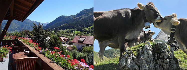 5 ÜN im Allgäu inkl. Frühstück, Brotzeit, Infrarotkabine & Gästekarte für 200€ p.P.