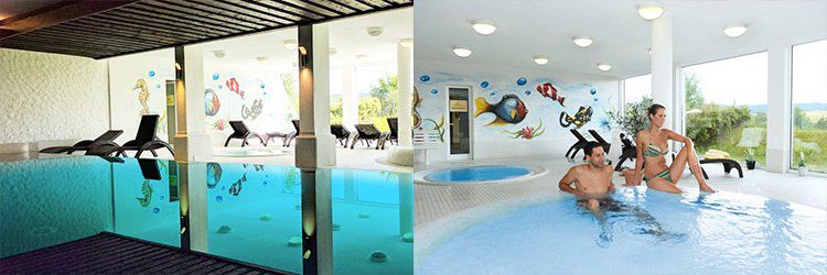 2 ÜN im Schwarzwald inkl. HP, Wellness & Konus Karte (Kind bis 2 kostenlos) ab 129€ p.P.