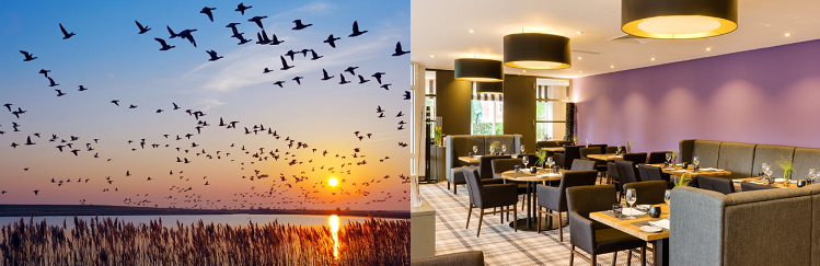 2, 3 o. 5 ÜN im 4* Hotel in Ostfriesland inkl. Frühstück, 4 Gänge Dinner, Teezeremonie, Wellness & mehr ab 109€ p.P.