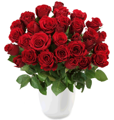 Update! Rosenrausch   33 Rosen Red Edition für 20,94€