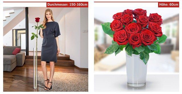 Rosen Sträuße ab 17,99€ + keine VSK bei LIDL Blumen