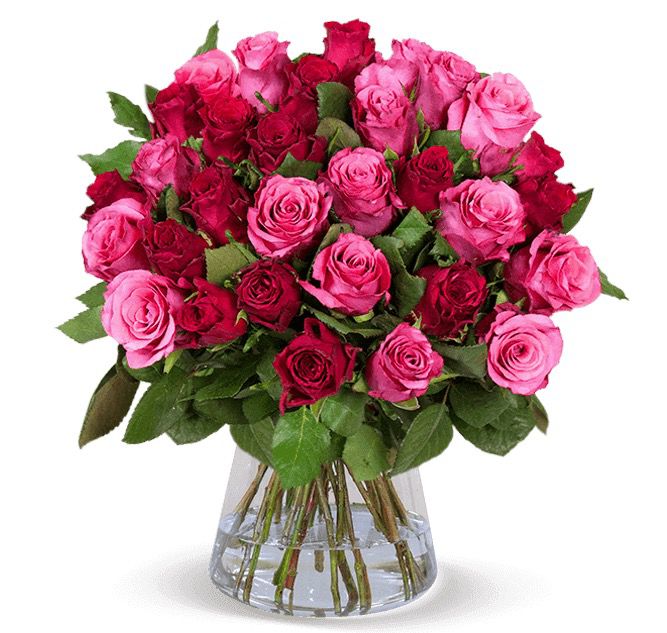 Blumenstrauß Crazy in LOVE mit 40 Rosen + Milka Schokolade für 24,98€