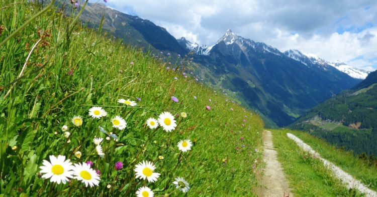 2   4 ÜN in Tirol inkl. Halbpension, Weinflasche, Willkommensgetränk, geführte Wanderung & Wellness ab 79€ p.P.