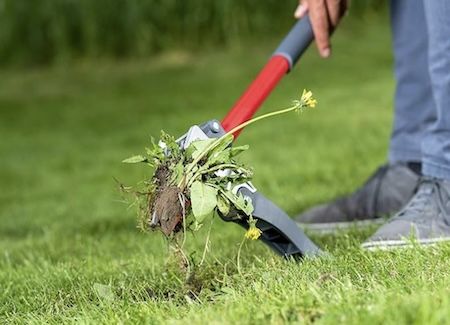 🏡 Wolf Garten SQ 450 2in1 Unkrautvernichter & Dünger für 37€ (statt 47€)