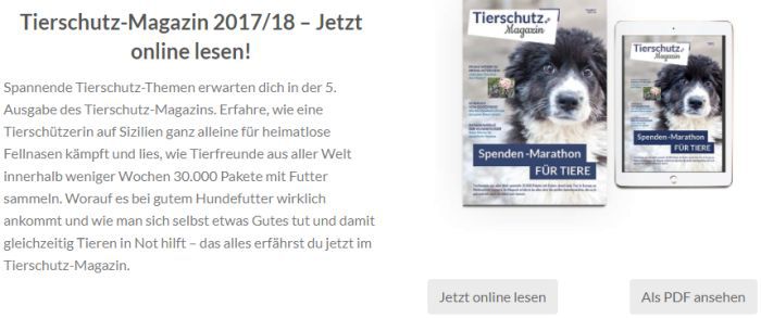 Aktuelle Ausgabe „Tierschutz Magazin“ gratis lesen (Print/Digital) – keine Kündigung notwendig