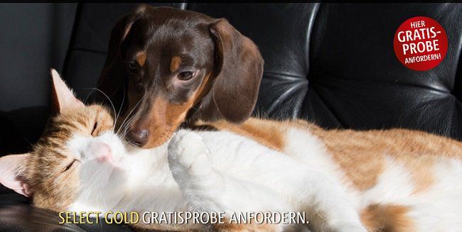 Select Gold Hundefutter Gratis ausprobieren