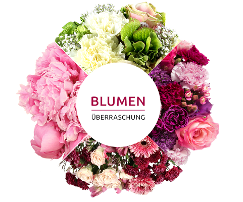 Miflora Blumenüberraschung für 22,90€