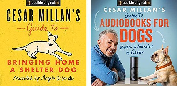 Audible: 2 englischsprachige Hörbucher von Cesar Millan gratis