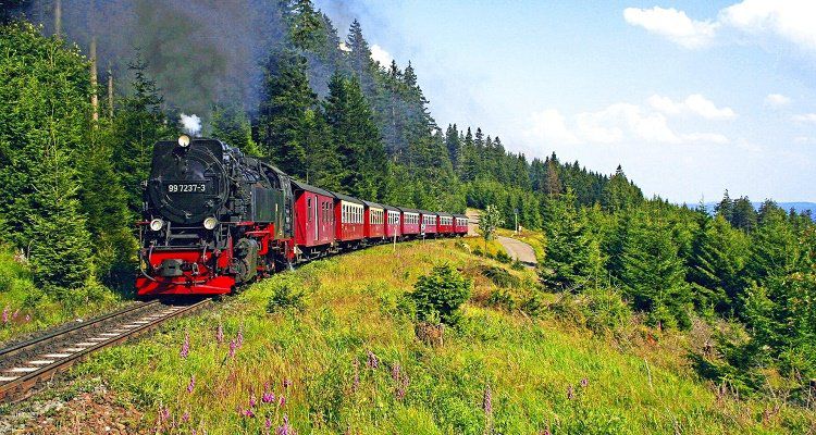 2   5 ÜN im 3,5* Hotel im Harz inkl. Frühstück, Dinner & Wernigerode Ticket ab 65€ p. P.