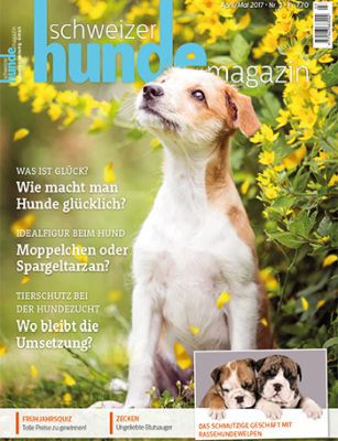 1 Ausgabe des Schweizer Hundemagazins gratis – endet automatisch