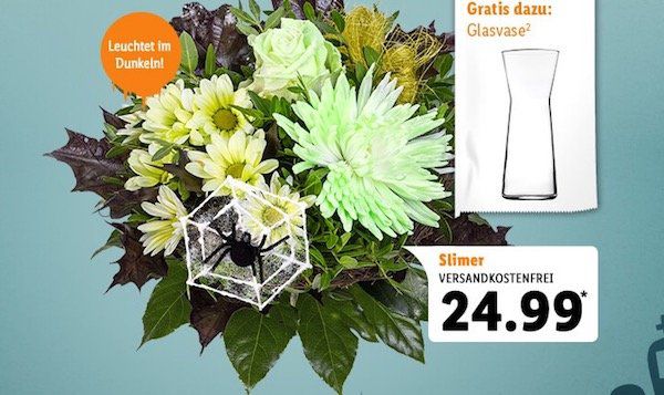 Nur heute! Alle Blumen mit 13% Rabatt bei LIDL Blumen + keine VSK