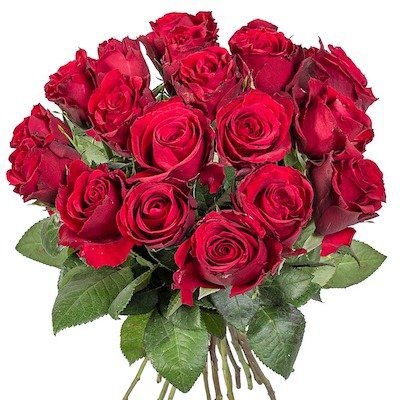 18 langstielige rote Rosen für 13,99€