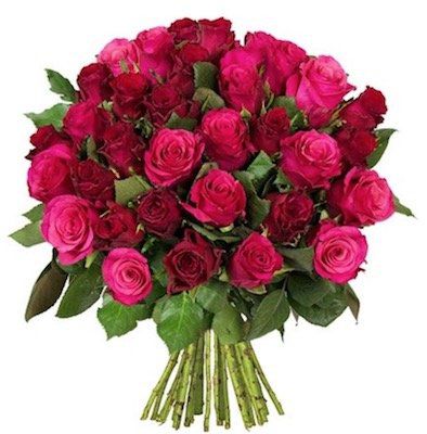 Blumenstrauß “Romantic Roses” mit 41 pinken und roten Rosen für 24,98€