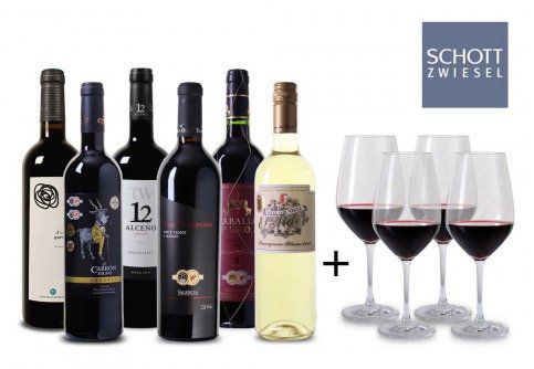 6 Flaschen teils prämierter Wein aus Spanien + 4 Weingläser für 49,94€