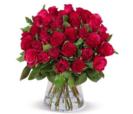 33 rote Rosen mit 50cm Länge für 34,73€
